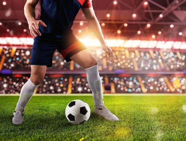 万博体育应用界面展示